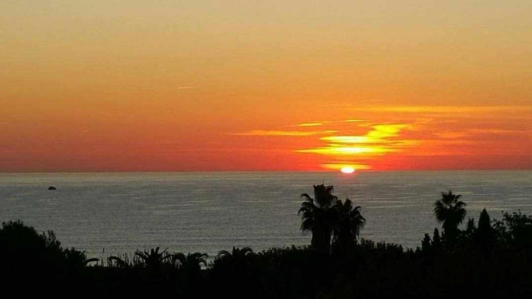 Mediterrania Marina Puerto de Sagunto Bilik gambar