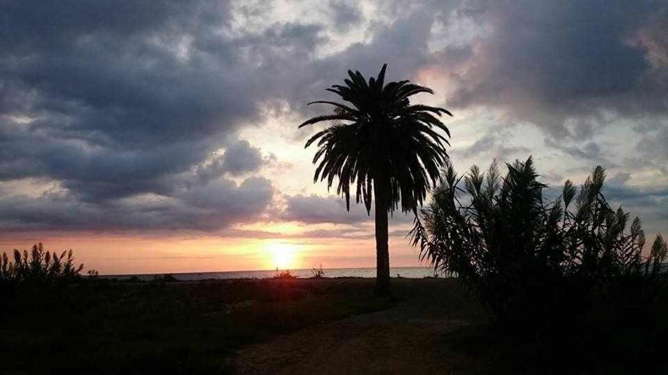 Mediterrania Marina Puerto de Sagunto Bilik gambar