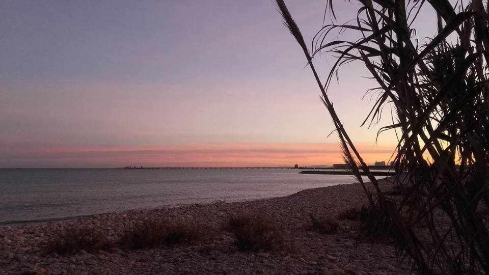 Mediterrania Marina Puerto de Sagunto Bilik gambar